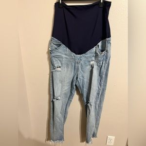 Pink Blush Plus Size Maternity Jeans